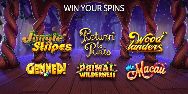 Win Your Spins!
