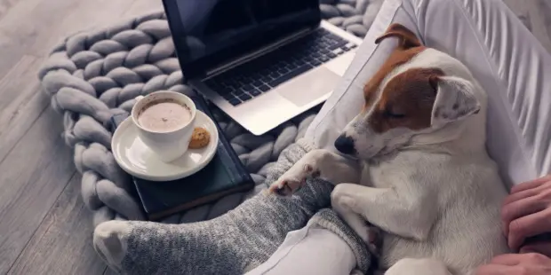 A woman cuddling with her dog while sitting in front of a laptop and a cup of a hot beverage. 