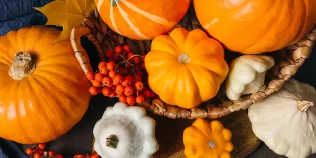 Autumn-related decorations pumpkins, squashes and berries