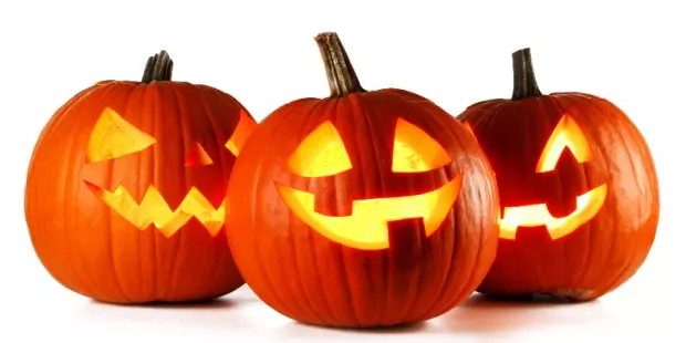 3 jolly carved, lit up pumpkins on a white background