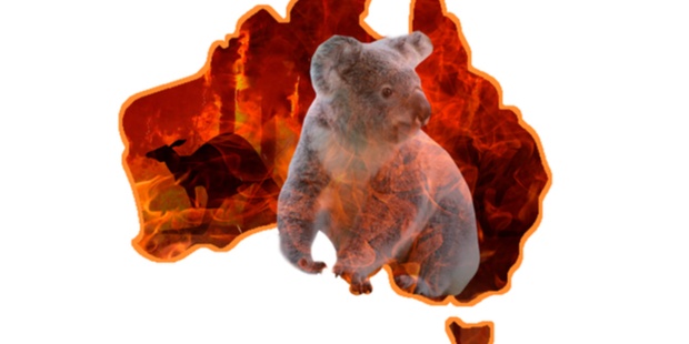 A photo of Australia’s bushfires
