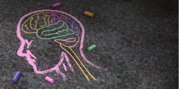 A chalk painting of the human brain
