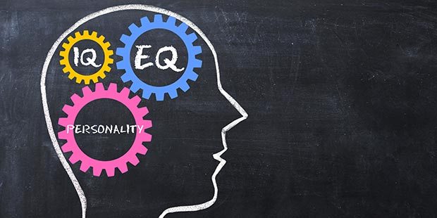 IQ, EQ, and personality drawn in chalk instead of a human brain. 